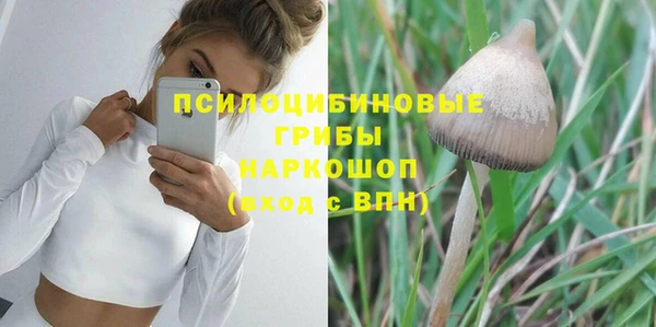 ПСИЛОЦИБИНОВЫЕ ГРИБЫ Верхний Тагил