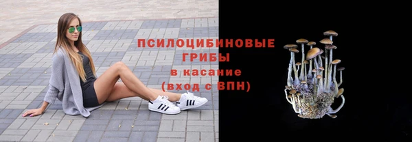 ПСИЛОЦИБИНОВЫЕ ГРИБЫ Верхний Тагил