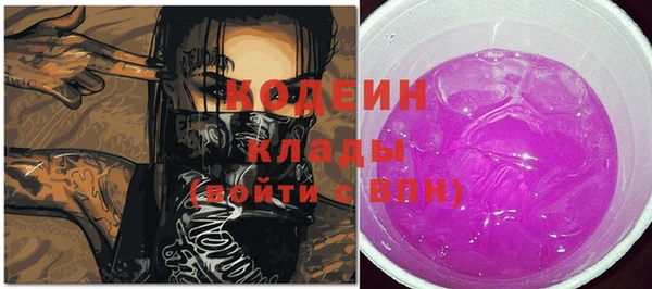 индика Сафоново