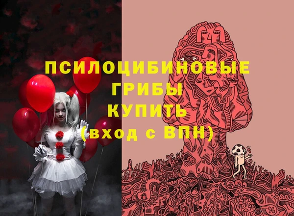 ПСИЛОЦИБИНОВЫЕ ГРИБЫ Верхний Тагил